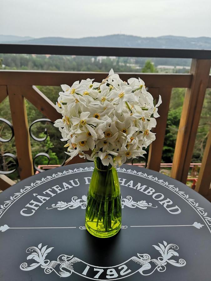 Katun Apartmani & Spa Divčibare Exteriör bild